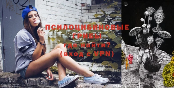 молекула духа Алзамай