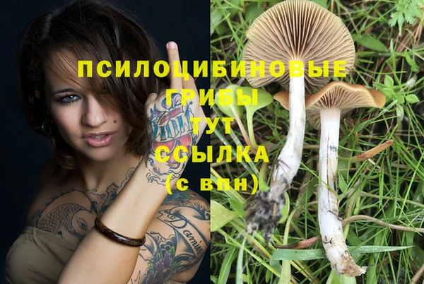 прущий лед Алексин