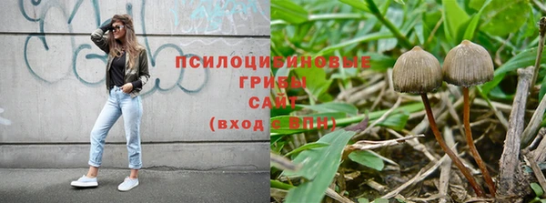 молекула духа Алзамай
