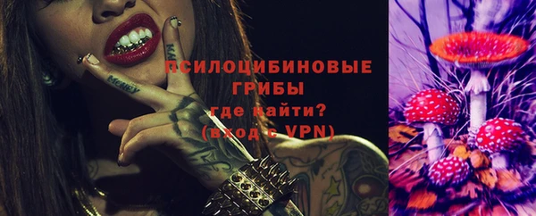 прущий лед Алексин